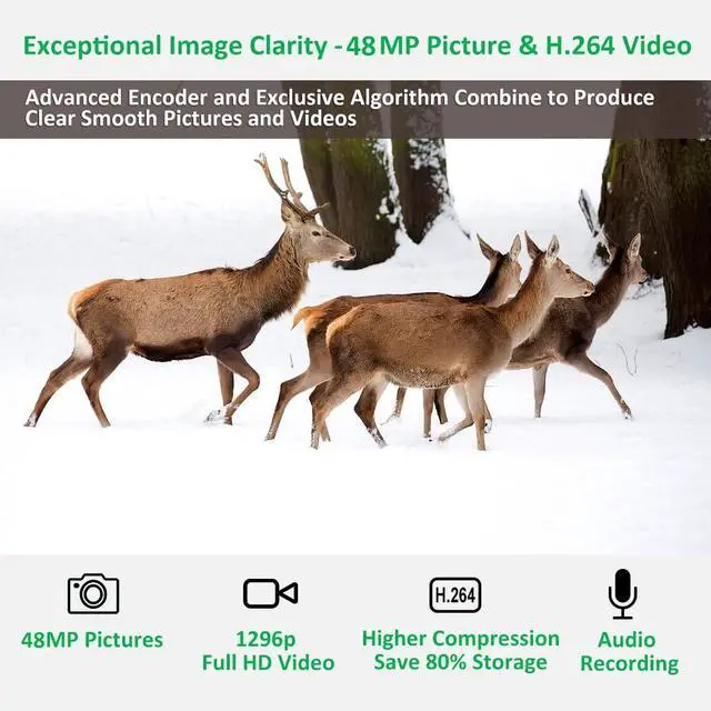 Alt view image 5 of 7 - A3 Trail Camera (Non-Cellular, Non-WiFi), Enhanced Low-Light Performance, 48MP Photo & 1296P HD Video, 0.1s Trigger, 100ft No-Glow Night Vision, Motion Activated Wildlife Camera