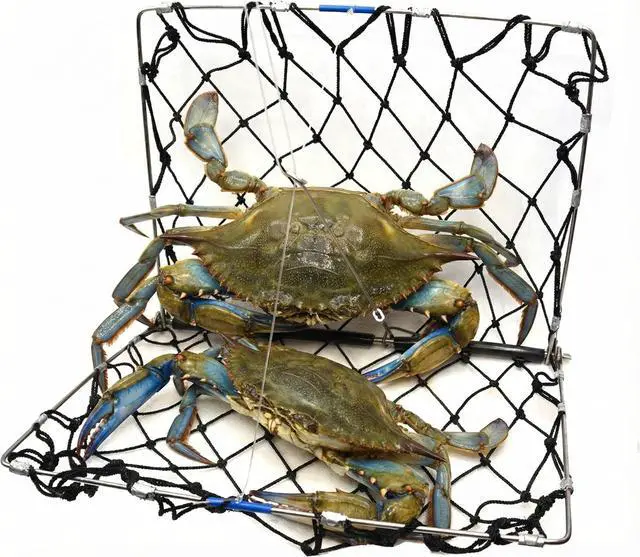 Alt view image 2 of 7 - Foldable Castable Crab Trap - Crab Hawk & Crab Jaw Star Trap with Bait Clip - Portable Fishing Rod Crab Pot for Blue Crabs & Dungeness - Designed in USA