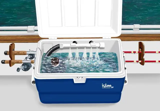 Alt view image 3 of 5 - Super Saver Live Well Bait System & Aerator Kit