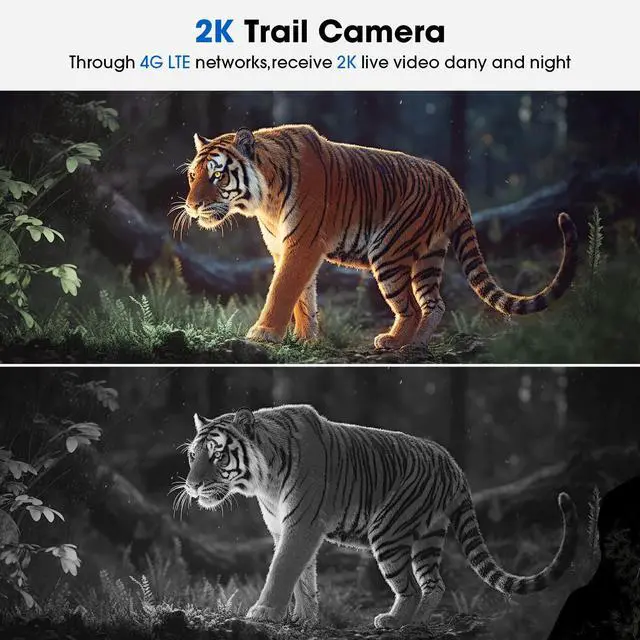 Alt view image 6 of 7 - 4G LTE Trail Camera, 360° View Cellular Game Camera with Live Streaming, Built-in SIM Card, 2K Night Vision Wireless Solar Powered Motion Activated Camera for Outdoor, 2 Pack