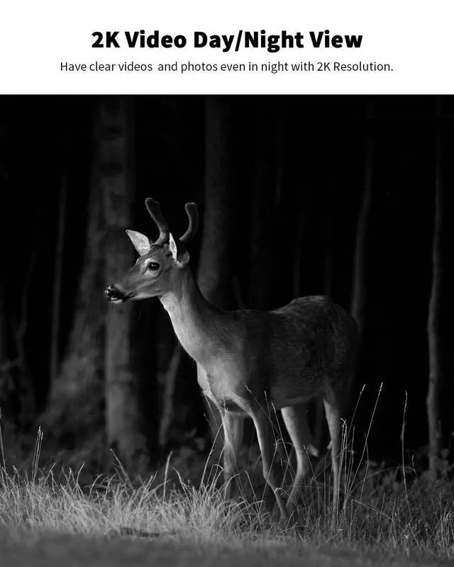 Alt view image 4 of 7 - 4G LTE Cellular Trail Camera 360° Live Streaming Solar Deer Camera, SIM Card Included, Clear Night Vision, Remote Phone Control, Instant Alerts, Cloud Storage for Hunting/Outdoor Security