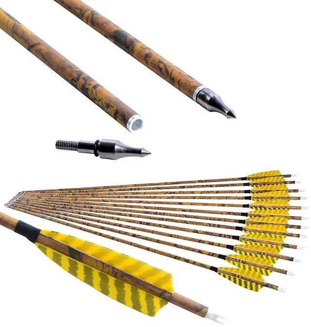 Main image of 30 Archery Carbon Arrows Hunting Arrows with 4 Turkey Feather Removable Tips Targeting Practice Arrows 500 Spine for Compound & Recurve & Traditional Bow 6/12pcs