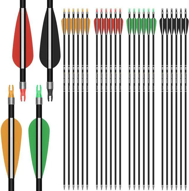 Main image of Archery 24PCS Compound Bow Arrows for Practice. 30" Carbon Shaft, Spine 500 with Removable Tips. 4 Colors Vane Fit for Indoor and Outdoor Archery