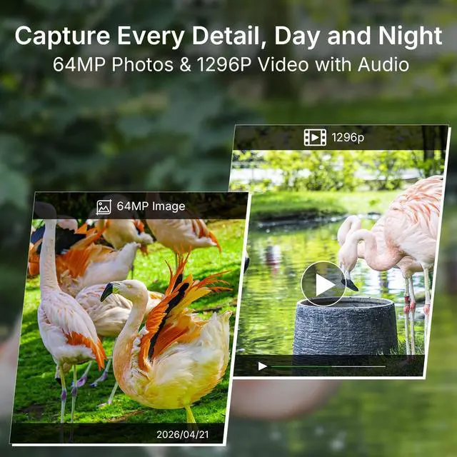 Alt view image 6 of 7 - E8 WiFi Trail Camera (Non-Cellular), Stable WiFi with External Antenna, On-Site App Viewing, HD Video with Sound, No-Glow Night Vision, Motion Activated Waterproof Game Camera