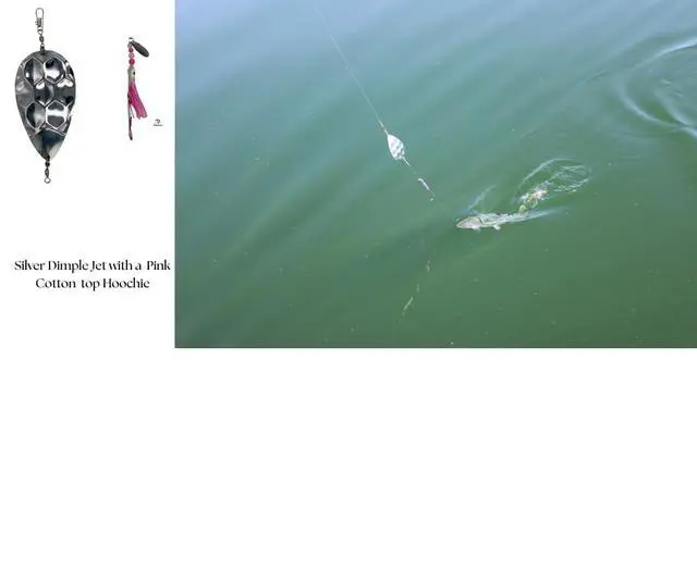 Alt view image 6 of 7 - Squid Fishing Hoochies 10 Pack -Glow Fresh Water Kokanee Salmon Trolling Lures with Pre-Rigged Octopus Hooks - Spinner Blades, Synthetic Skirts Kokanee Hoochies for Salmon Fishing