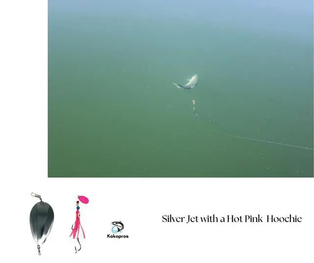 Alt view image 7 of 7 - Squid Fishing Hoochies 10 Pack -Glow Fresh Water Kokanee Salmon Trolling Lures with Pre-Rigged Octopus Hooks - Spinner Blades, Synthetic Skirts Kokanee Hoochies for Salmon Fishing