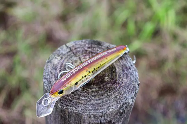 Alt view image 5 of 5 - Fishing Kits
