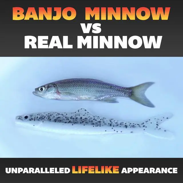 Alt view image 6 of 7 - Soft Fishing Lure Kit: Lifelike Injured Minnow Soft Plastic Bait for Bass, Trout, Walleye & More Multi-Size Swimbait Fishing Lures, Hooks, and Hardware for Freshwater & Saltwater