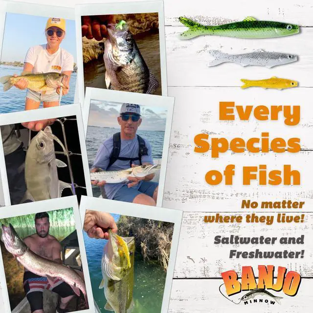 Alt view image 5 of 7 - Soft Fishing Lure Kit: Lifelike Injured Minnow Soft Plastic Bait for Bass, Trout, Walleye & More Multi-Size Swimbait Fishing Lures, Hooks, and Hardware for Freshwater & Saltwater