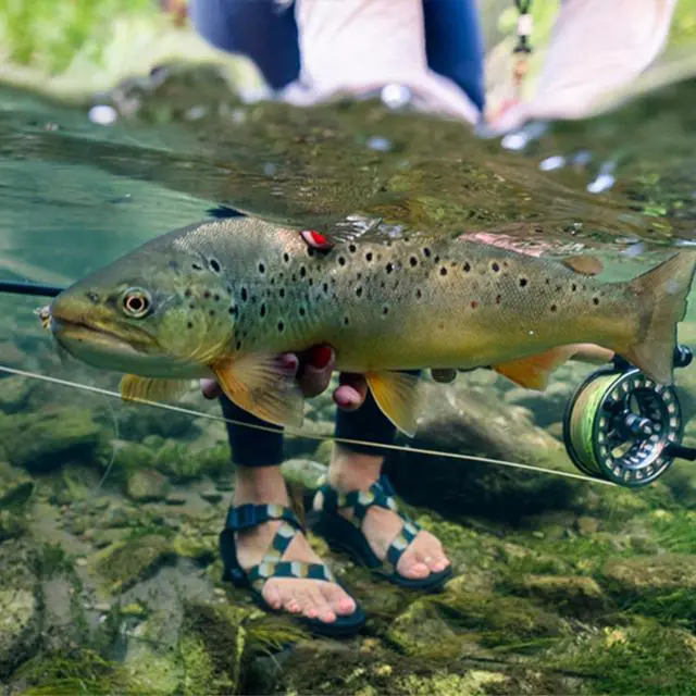 Alt view image 4 of 7 - Mainstream Trout DT Fly Line - Developed for the Average Fly Fishermen - Easy Casting and Smooth Design - Floating Freshwater Line