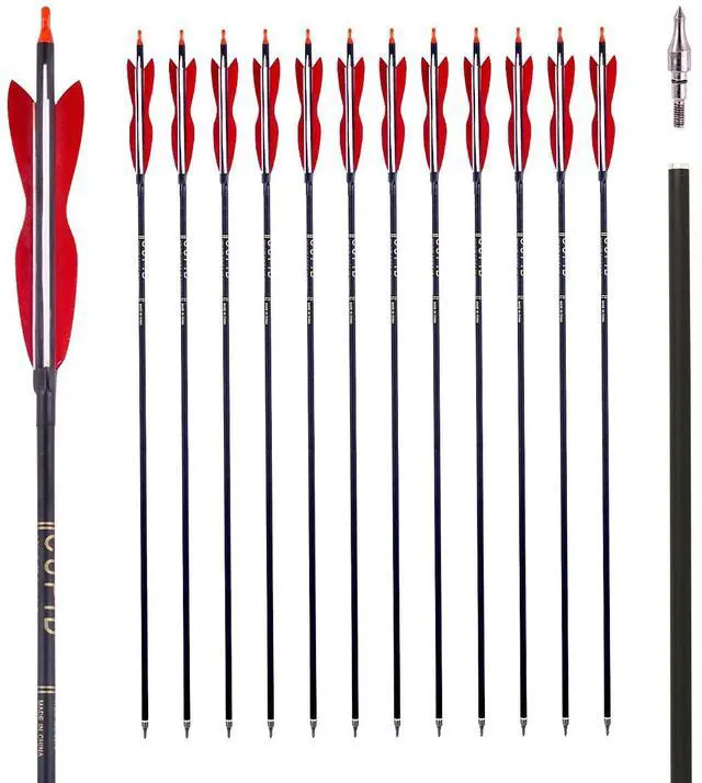 Main image of 31" Carbon Hunting Arrows with 5" Turkey Feathers, Pack of 12 | Spine 500, Archery Target Practice, For Recurve Bow and Long Bow