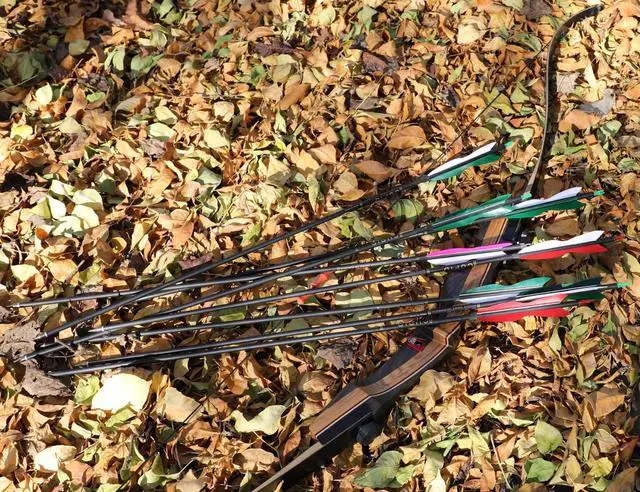 Alt view image 6 of 7 - 31" Carbon Hunting Arrows with 5" Turkey Feathers, Pack of 12 | Spine 500, Archery Target Practice, For Recurve Bow and Long Bow