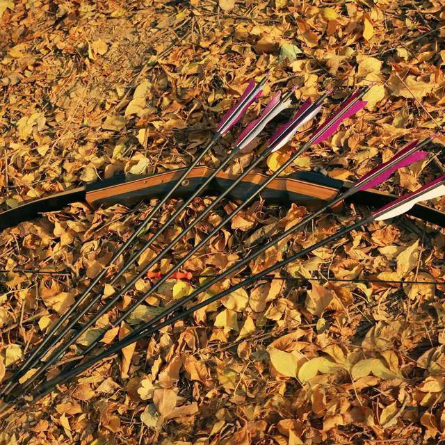 Alt view image 6 of 6 - 31" Carbon Hunting Arrows with 5" Turkey Feathers, Pack of 12 | Spine 500, Archery Target Practice, For Recurve Bow and Long Bow