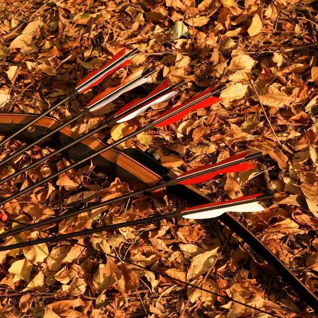 Alt view image 7 of 7 - 31" Carbon Hunting Arrows with 5" Turkey Feathers, Pack of 12 | Spine 500, Archery Target Practice, For Recurve Bow and Long Bow