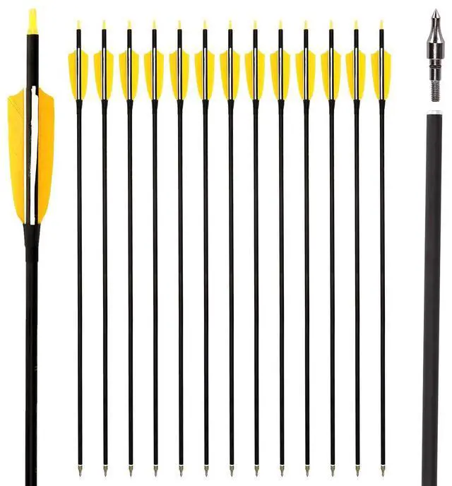 Main image of 30" Carbon Arrows, Archery Target Practice Hunting Arrows,12 Pack | 4" Turkey Feather, Spine 500, for Recurve & Long Bow