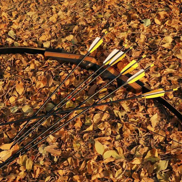 Alt view image 7 of 7 - 30" Carbon Arrows, Archery Target Practice Hunting Arrows,12 Pack | 4" Turkey Feather, Spine 500, for Recurve & Long Bow