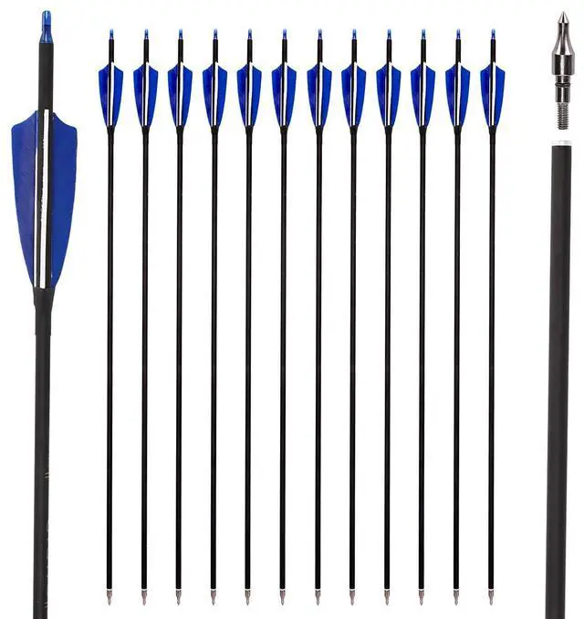 Main image of 30" Carbon Arrows, Archery Target Practice Hunting Arrows,12 Pack | 4" Turkey Feather, Spine 500, for Recurve & Long Bow