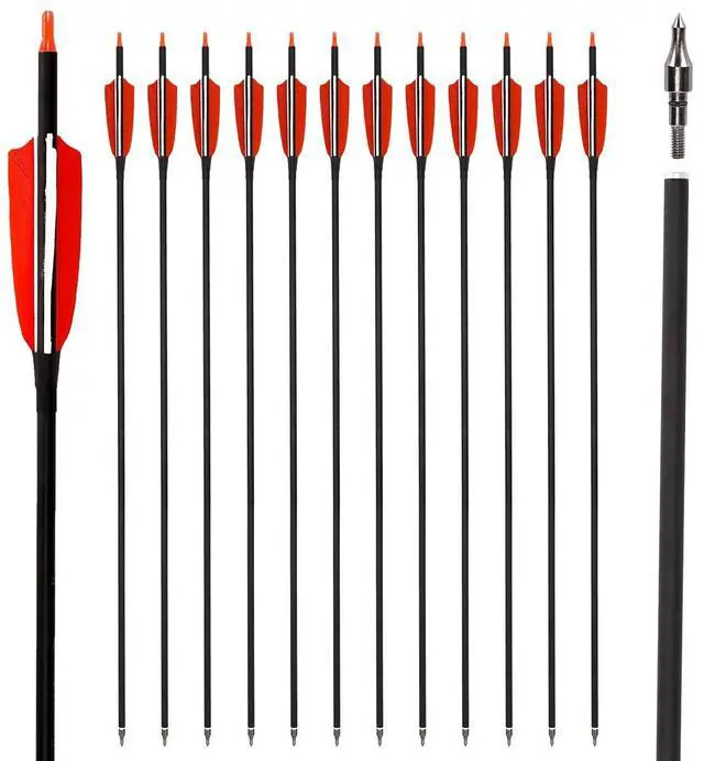 Main image of 30" Carbon Arrows, Archery Target Practice Hunting Arrows,12 Pack | 4" Turkey Feather, Spine 500, for Recurve & Long Bow