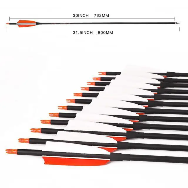 Alt view image 3 of 7 - 30" Carbon Arrows, Archery Target Practice Hunting Arrows,12 Pack | 4" Turkey Feather, Spine 500, for Recurve & Long Bow