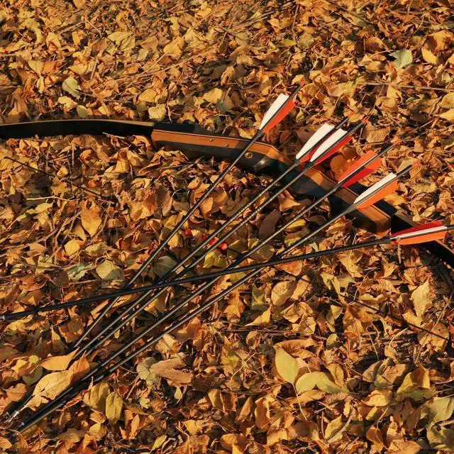 Alt view image 7 of 7 - 30" Carbon Arrows, Archery Target Practice Hunting Arrows,12 Pack | 4" Turkey Feather, Spine 500, for Recurve & Long Bow