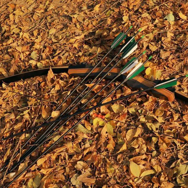 Alt view image 6 of 6 - 30" Carbon Arrows, Archery Target Practice Hunting Arrows,12 Pack | 4" Turkey Feather, Spine 500, for Recurve & Long Bow