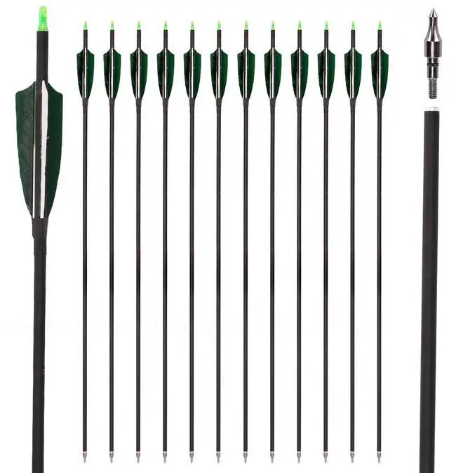 Main image of 30" Carbon Arrows, Archery Target Practice Hunting Arrows,12 Pack | 4" Turkey Feather, Spine 500, for Recurve & Long Bow