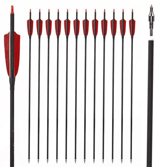 Main image of 30" Carbon Arrows, Archery Target Practice Hunting Arrows,12 Pack | 4" Turkey Feather, Spine 500, for Recurve & Long Bow