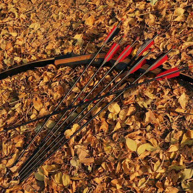 Alt view image 7 of 7 - 30" Carbon Arrows, Archery Target Practice Hunting Arrows,12 Pack | 4" Turkey Feather, Spine 500, for Recurve & Long Bow