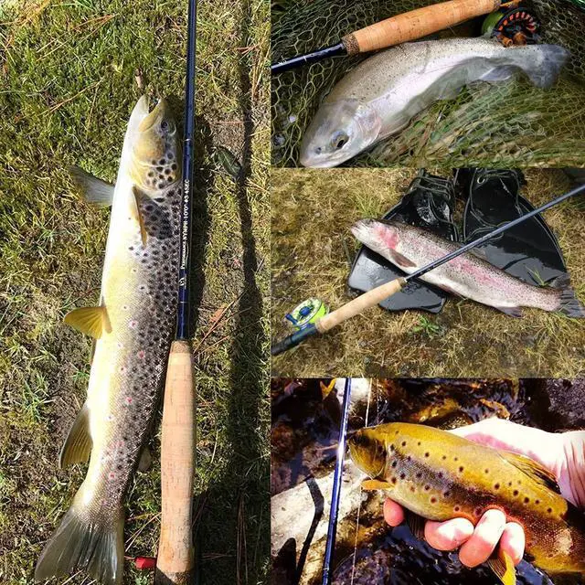 Alt view image 6 of 7 - Maxcatch Performance Nymph Fly Fishing Rod in 2/3/4wt: 10ft/11ft, IM10 Carbon, AAA Cork Handle, Rod Tube and Combo Set Available
