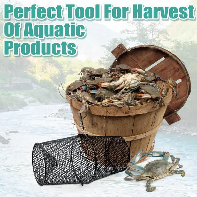Alt view image 6 of 7 - 4 Set Minnow Trap Crawfish Trap with Closure Spring Clip and 4 Pcs Hand Ropes Fishing Trap for Crayfish Crawdad Lobster Crab Bait Metal Net Cage Crawfishing
