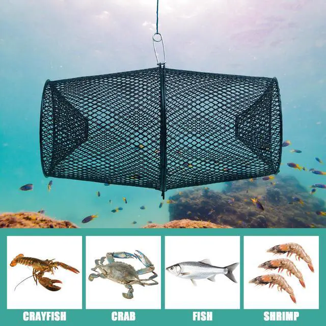 Alt view image 5 of 7 - 4 Set Minnow Trap Crawfish Trap with Closure Spring Clip and 4 Pcs Hand Ropes Fishing Trap for Crayfish Crawdad Lobster Crab Bait Metal Net Cage Crawfishing