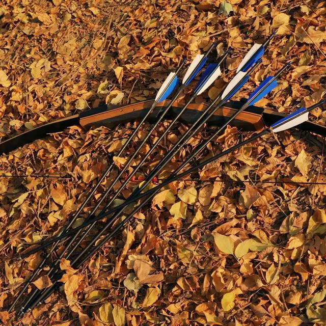 Alt view image 7 of 7 - 30" Carbon Arrows, Archery Target Practice Hunting Arrows,12 Pack | 4" Turkey Feather, Spine 500, for Recurve & Long Bow