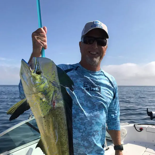 Alt view image 7 of 7 - Telescopic Fishing Gaff, Aluminum Pole, Stainless Steel M8 Hook | Ultralight 4.62oz aluminum telescopic gaff (11.4"-24") with nonslip rubber handle, sharp stainless hook & safety lanyard
