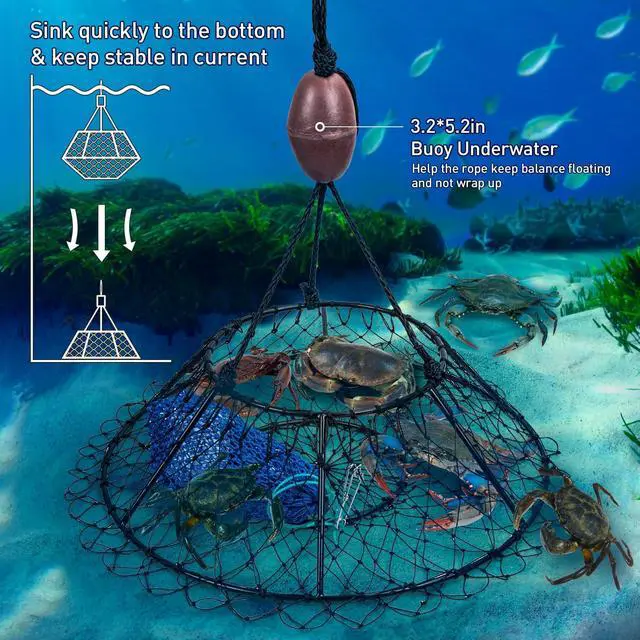 Alt view image 5 of 7 - Crab Ring Trap Hoop Net 1/2-Pack, Heavy Duty Saltwater Crab Nets for Crabbing Lobster, Dungeness and Blue Crabs, Folded Crab Cage Pots Kit with Buoy, Bait Bag, Rope and Gloves