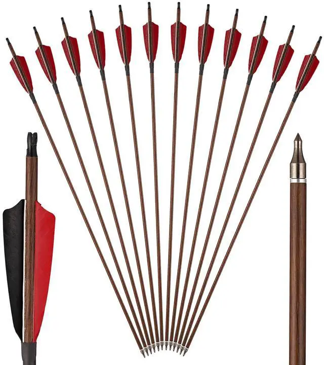 Main image of Premium 30" Carbon Hunting Arrows with 4" Real Turkey Feathers Fletching and Removable Tips - 500 Spine Practice Target Arrows for Recurve Bow Long Bow -12Pcs
