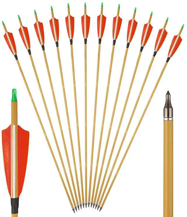 Main image of Premium 30" Carbon Hunting Arrows with 4" Real Turkey Feathers Fletching and Removable Tips - 500 Spine Practice Target Arrows for Recurve Bow Long Bow -12Pcs