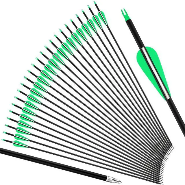 Main image of 24 Pcs 31.5 Inch Arrows for Compound Bow Hunting Arrows Carbon Arrows with 3 Inch Plastic Arrow Feathers and Removable Tips 500-600 Spine Archery Target Arrows for Recurve Bow