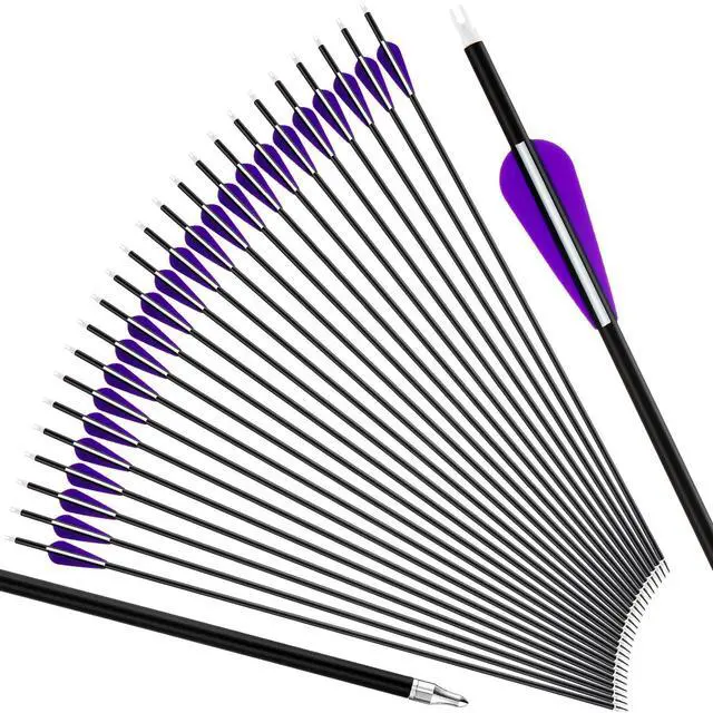 Main image of 24 Pcs 31.5 Inch Arrows for Compound Bow Hunting Arrows Carbon Arrows with 3 Inch Plastic Arrow Feathers and Removable Tips 500-600 Spine Archery Target Arrows for Recurve Bow