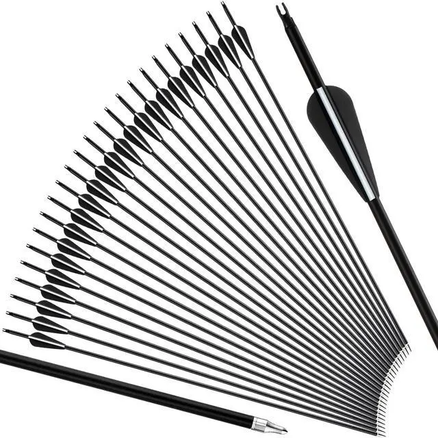 Main image of 24 Pcs 31.5 Inch Arrows for Compound Bow Hunting Arrows Carbon Arrows with 3 Inch Plastic Arrow Feathers and Removable Tips 500-600 Spine Archery Target Arrows for Recurve Bow