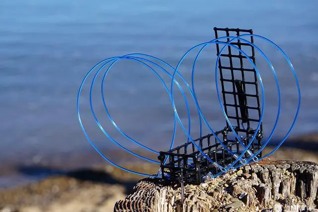 Alt view image 4 of 7 - Castable Crab Trap for Pier, Jetty & Surf - 6-Loop Fishing Pole Crab Trap | Dungeness, Blue & Rock Crabs | Lead-Free | CA, OR, WA, MD & FL, Made in USA