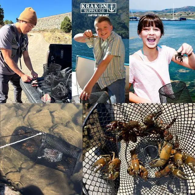 Alt view image 6 of 7 - Crawfish Trap Crawdads Crayfish Trap Torpedo Heavy Duty Bait Steel Mesh Wire Black with Clip Two-Piece Durable (6 Pack)