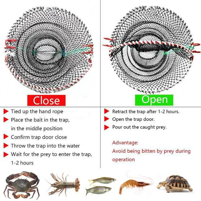 Alt view image 2 of 6 - Crab Trap Bait Lobster Crawfish Shrimp Portable Folded Cast Net Magic Collapsible Fishing Traps Nets Accessories for Blue Crabs