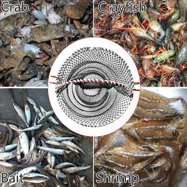 Alt view image 6 of 6 - Crab Trap Bait Lobster Crawfish Shrimp Portable Folded Cast Net Magic Collapsible Fishing Traps Nets Accessories for Blue Crabs