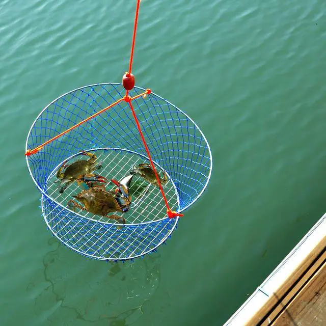 Alt view image 7 of 7 - Wire Grid Bottom Crab Nets Two Ring Crab Kit with Harness and Bait Clip 24 X 20 X 12
