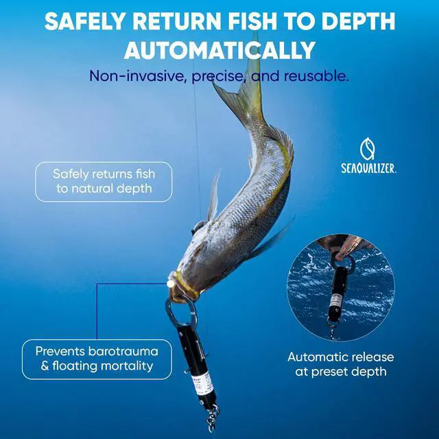 Alt view image 2 of 6 - Fish Descending Device 3 Setting Release Device for Fishing Non-Invasive and Reusable Fish Release Tool NOAA Compliant - Made in USA