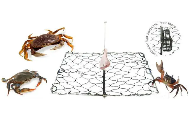 Alt view image 5 of 7 - Foldable Castable Crab Trap - Crab Hawk & Crab Jaw Star Trap with Bait Clip - Portable Fishing Rod Crab Pot for Blue Crabs & Dungeness - Designed in USA