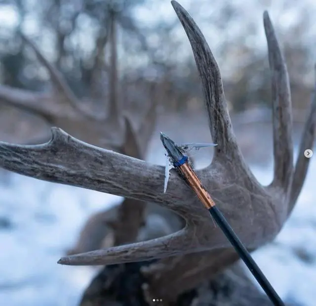 Alt view image 7 of 7 - G5 Deadmeat V2 Expandable 3-Blade Broadheads | 3-Pack | 100/125 Grains | Razor Sharp 1.5" Cutting Diameter Mechanical Blades | Screw in | Compound & Recurve Compatible | 1 BMP Practice Tip Included