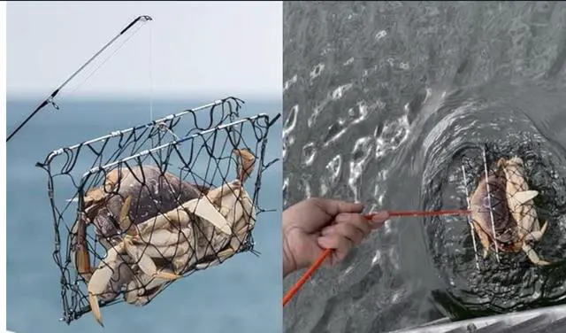 Alt view image 4 of 7 - Foldable Castable Crab Trap - Crab Hawk & Crab Jaw Star Trap with Bait Clip - Portable Fishing Rod Crab Pot for Blue Crabs & Dungeness - Designed in USA