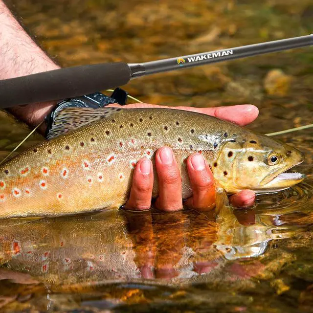 Alt view image 4 of 7 - Outdoors Fly Fishing Rod & Reel Combo Starter Kit with Case and Accessories