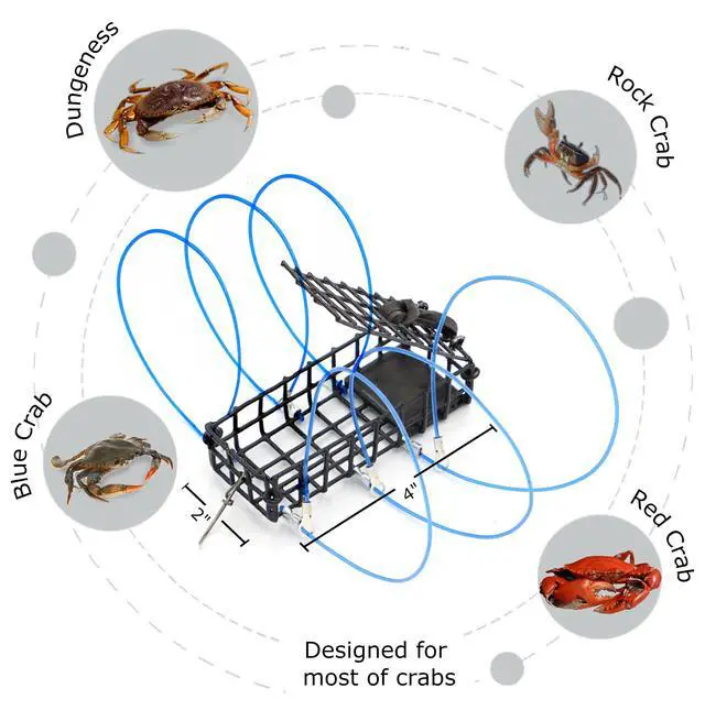 Alt view image 3 of 7 - Castable Crab Trap for Pier, Jetty & Surf - 6-Loop Fishing Pole Crab Trap | Dungeness, Blue & Rock Crabs | Lead-Free | CA, OR, WA, MD & FL, Made in USA (2 Traps + Gauge Kit)